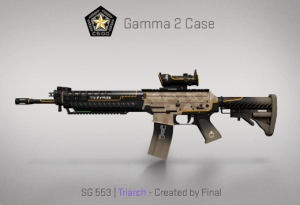 Gamma 2 Case