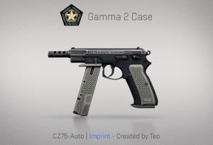 Gamma 2 Case
