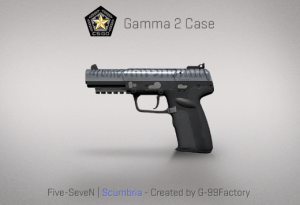Gamma 2 Case