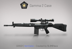 Gamma 2 Case
