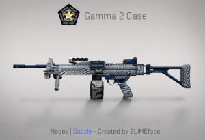 Gamma 2 Case