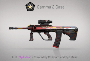 Gamma 2 Case