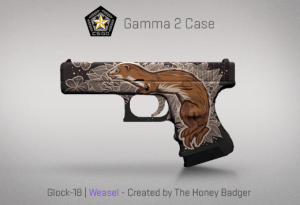 Gamma 2 Case